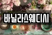 바닐라스웨디시