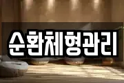 순환체형관리
