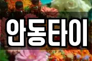 안동타이