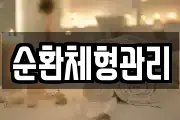 순환체형관리