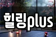 힐링plus