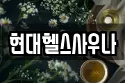 현대헬스사우나