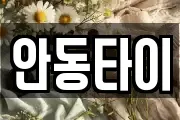 안동타이