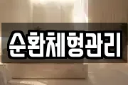 순환체형관리