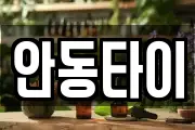 안동타이