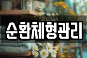 순환체형관리