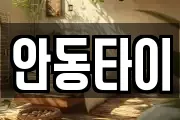 안동타이