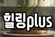 힐링plus