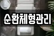 순환체형관리