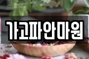 가고파안마원