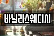 바닐라스웨디시