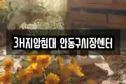 3H지압침대 안동구시장센터