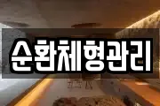 순환체형관리
