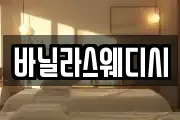 바닐라스웨디시