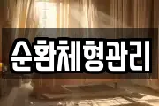 순환체형관리