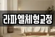 라파엘체형교정