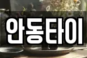 안동타이