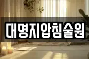 대명지압침술원