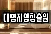 대명지압침술원