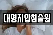 대명지압침술원