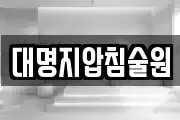 대명지압침술원