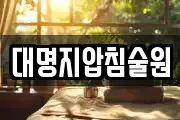 대명지압침술원