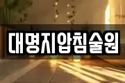 대명지압침술원