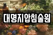 대명지압침술원