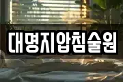 대명지압침술원