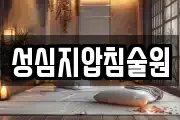 성심지압침술원