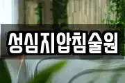 성심지압침술원