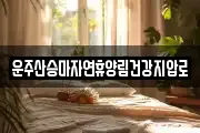 운주산승마자연휴양림건강지압로