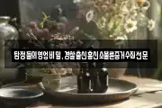 탐정들의영업비밀,경찰출신흥신소불륜증거수집전문