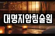 대명지압침술원