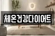 체온건강다이어트