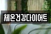 체온건강다이어트