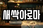 새싹아로마
