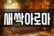 새싹아로마