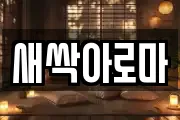 새싹아로마