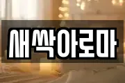 새싹아로마