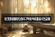싱크대냄새차단하수구막힘역류뚫음수전교체