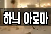 하늬 아로마