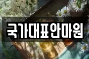 국가대표안마원