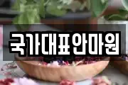 국가대표안마원