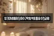 싱크대냄새차단하수구막힘역류뚫음수전교체