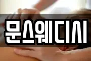 문스웨디시