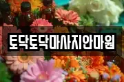 경상북도 포항시 남구 마사지, 지압등 업체정보