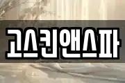 고스킨앤스파
