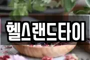 헬스랜드타이