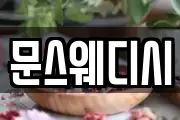 문스웨디시